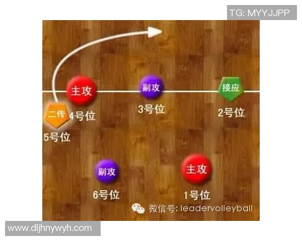 排球战术：武汉排球队的盯防体系