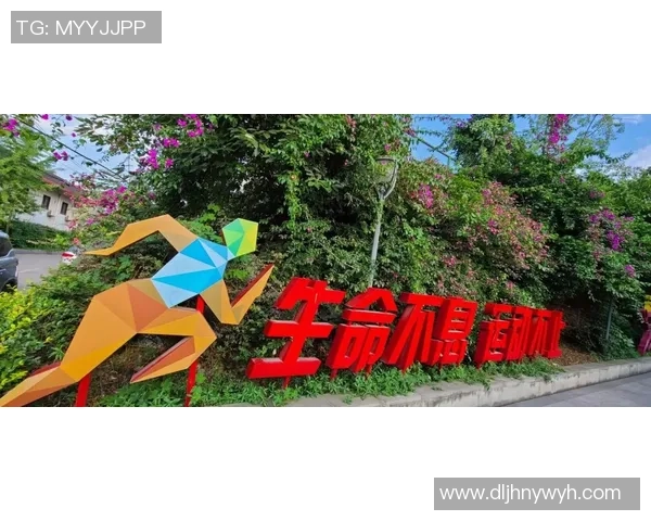 铁丝箍树下的足球明星梦与成长之路